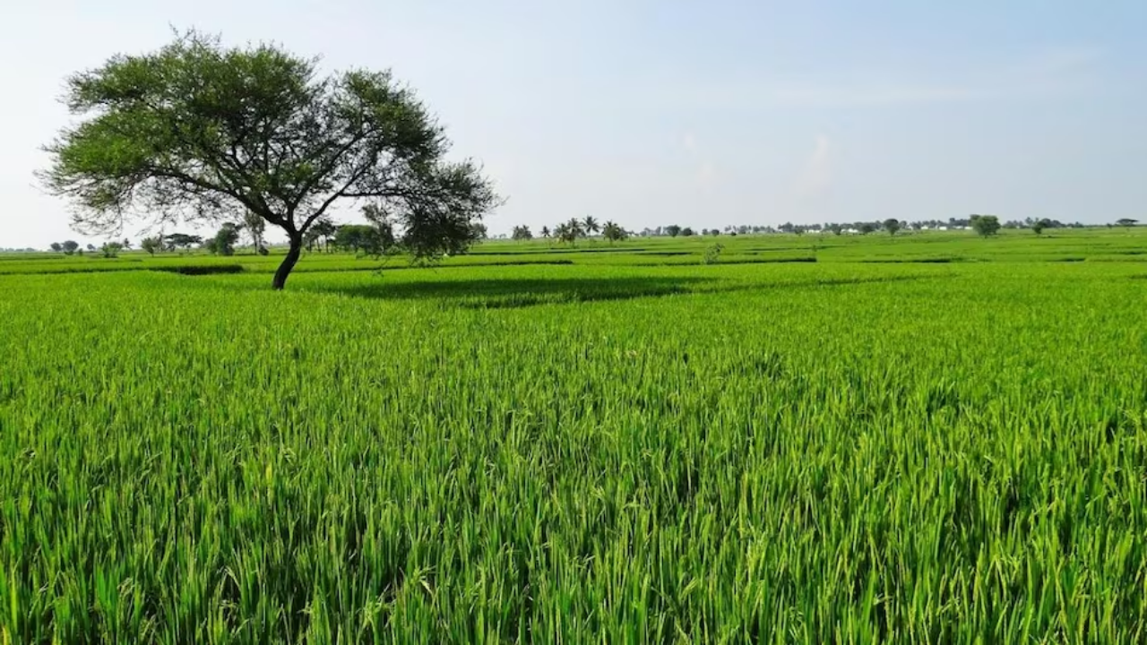 ITAT Ruling: End of an Era for Black Money in Indian Land Deals