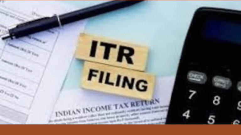 Income Tax Returns FY 2024-25: Do You Need to File