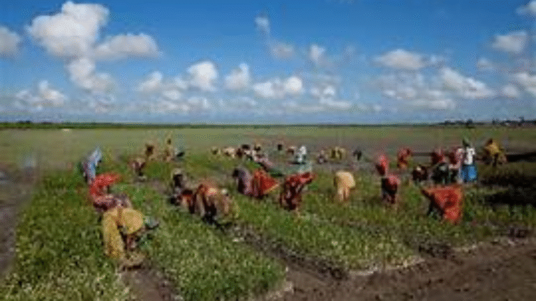 From Legacy to Livelihoods: Navigating the Family Business Evolution