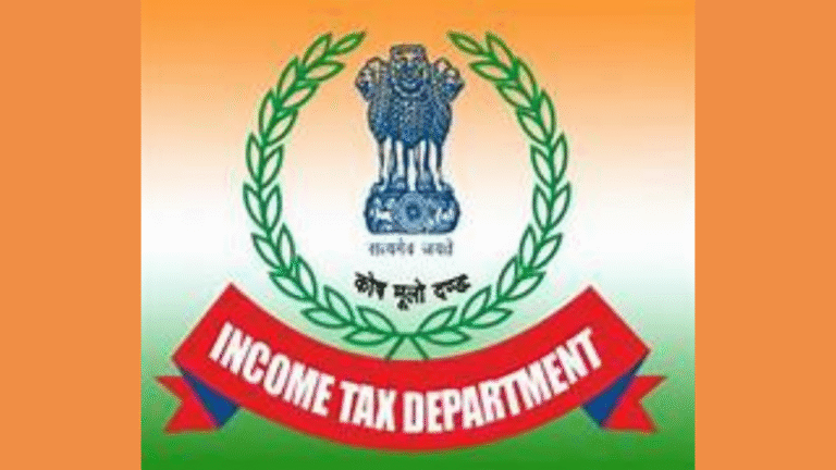 From Penalty to Pardon: How One Taxpayer Fought and Won Against Bogus Deductions