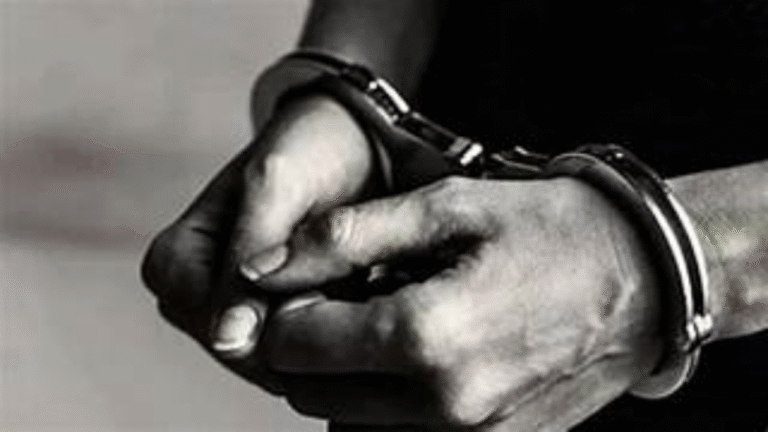 CA Arrested in ₹792 Crore Falcon Scam: Auditor Funneled Illicit Funds, ED Says