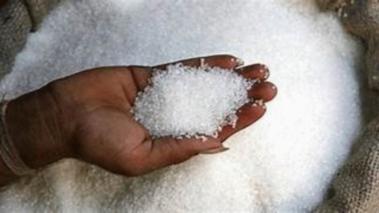 India Secures 5,841-Tonne Sugar Export Quota to EU for 2025-26
