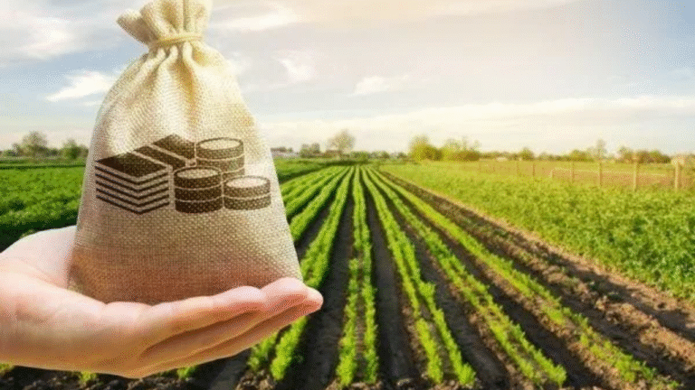 GST Rate Cuts: A Game-Changer for India’s Agriculture