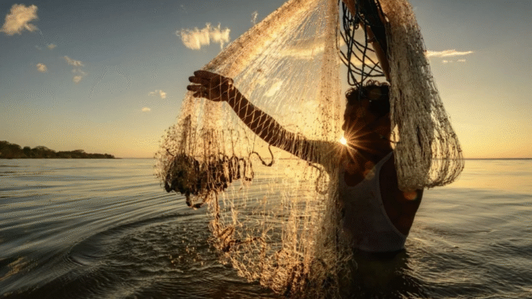 GST Council’s Landmark Fisheries Reform: Tax Slashed to 5% to Boost Blue Economy