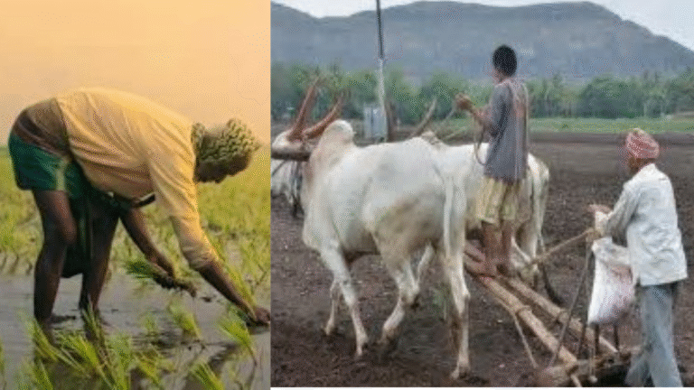 Modi’s GST Cuts: Empowering Farmers, Boosting Agri-Profits