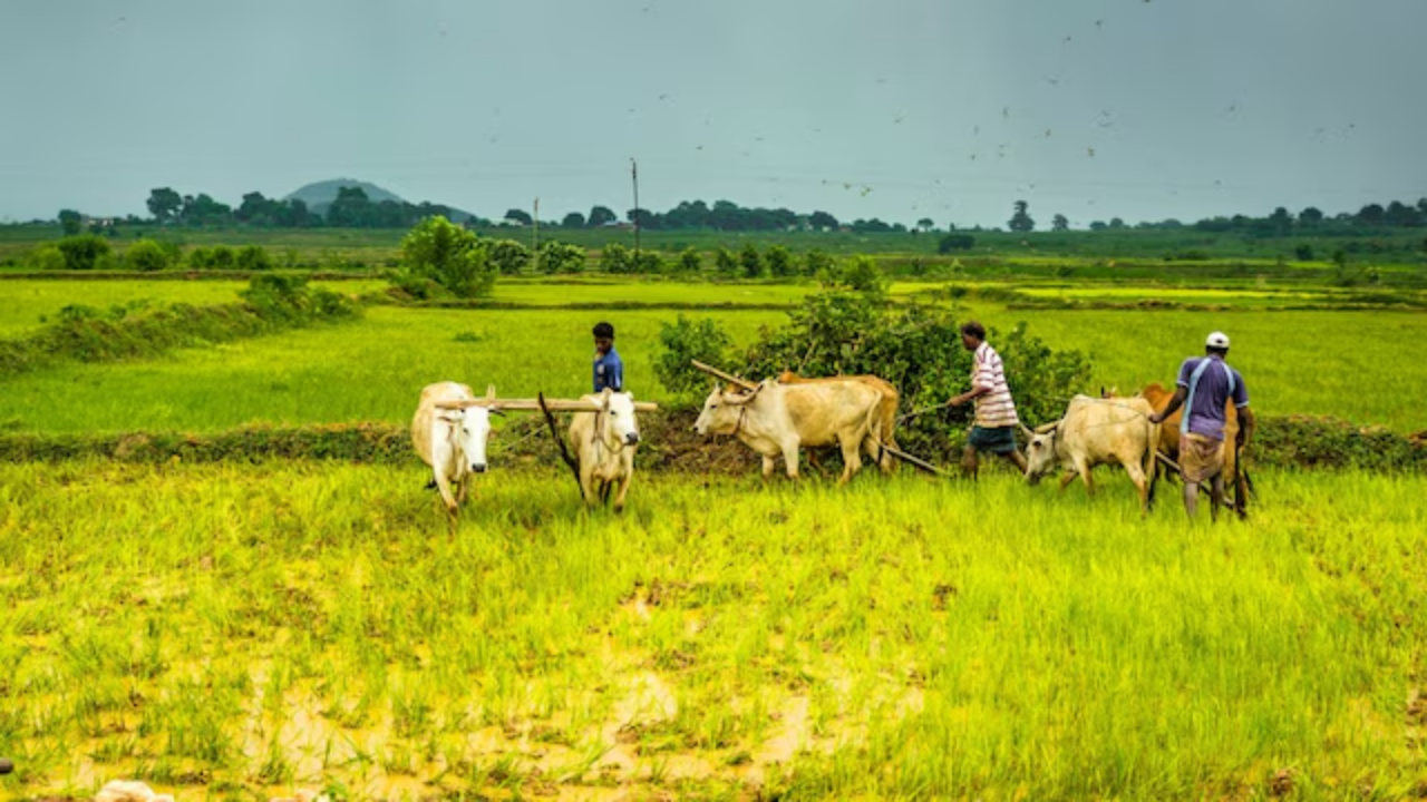 PM-KISAN: Your Next Payment May Be On Hold. Here’s Why and How to Fix It.