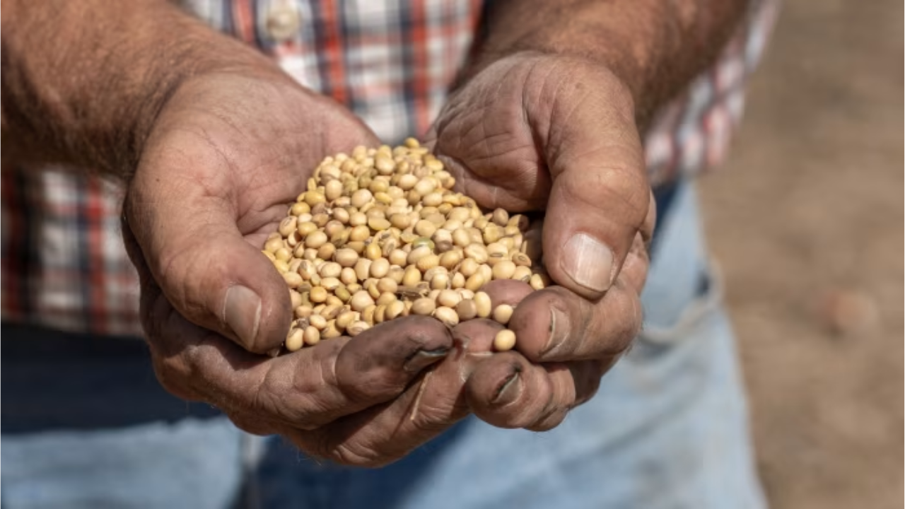 US Exporters Eye China Market After Trump Trade Deal