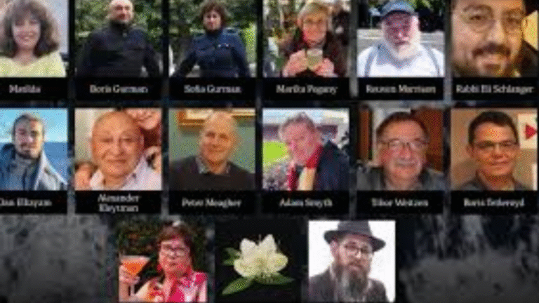 Families of Bondi Beach Victims Call for Federal Royal Commission