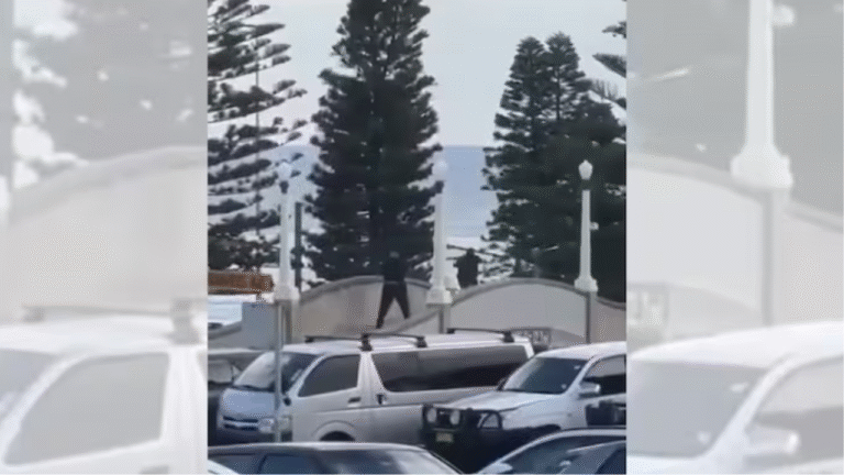 Bondi Beach Shooting: Crisis and Response