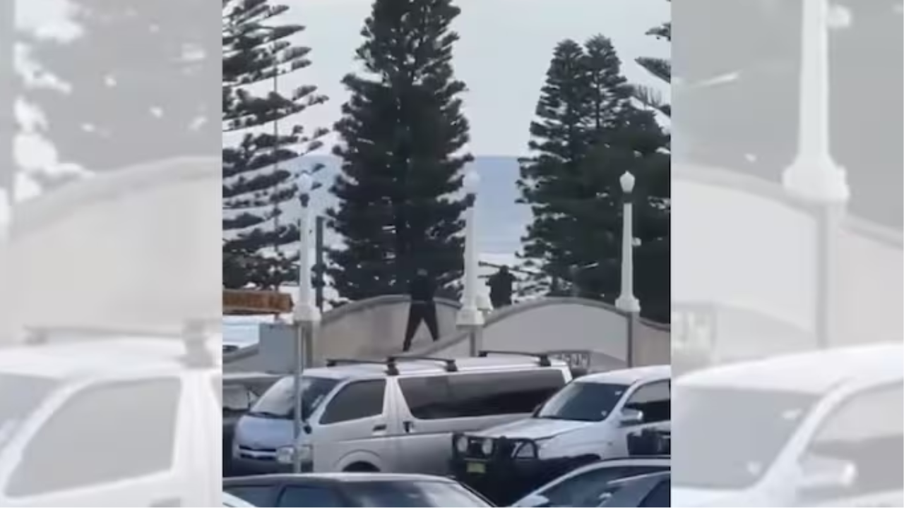 Bondi Beach Shooting: Crisis and Response