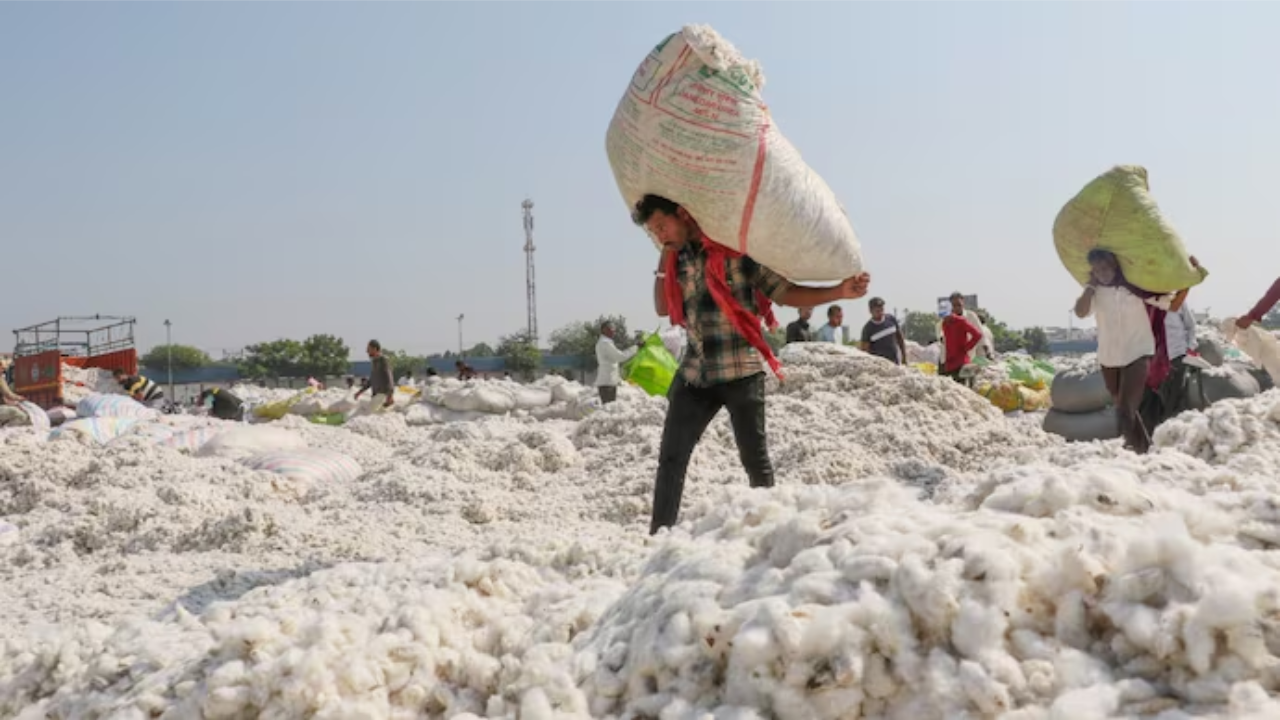 Brazil Edges Out India as Bangladesh’s Premier Raw Cotton Source Amid Record Imports