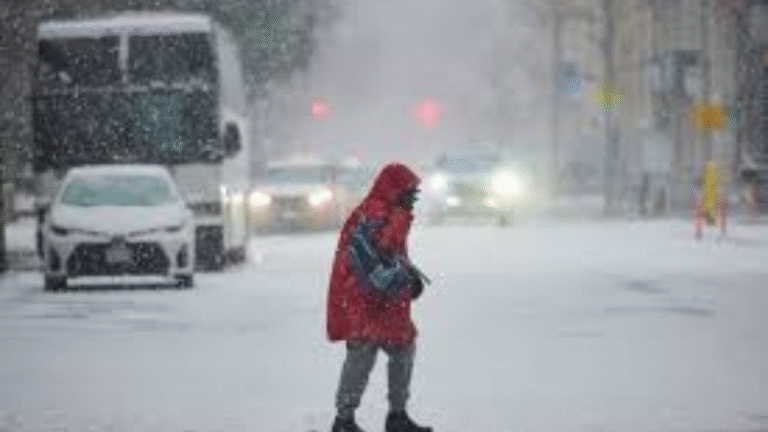 Over 45,000 Hydro One Customers Left in the Dark Following Severe Winter Storm