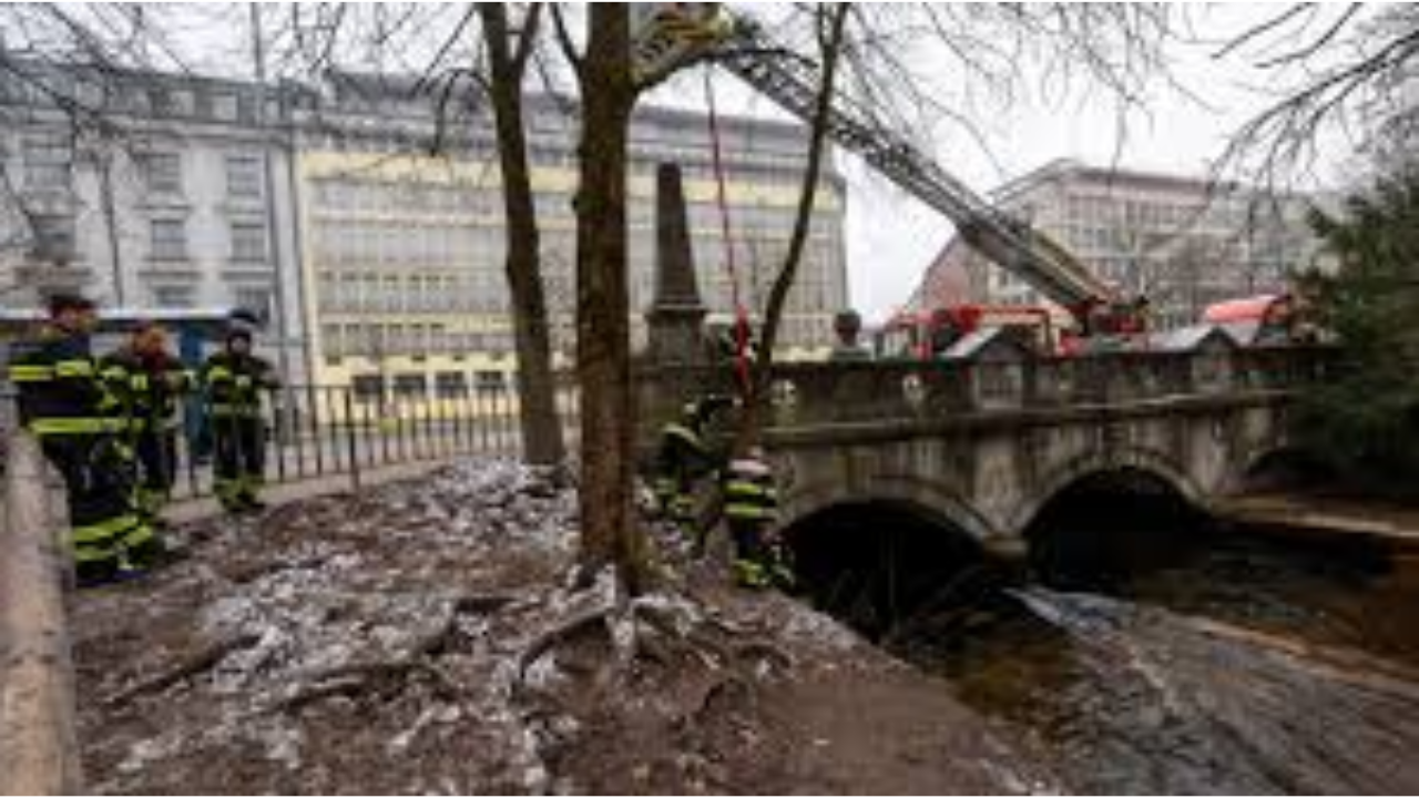 Culture vs. Caution: The Battle for Munich’s "Lost" Wave