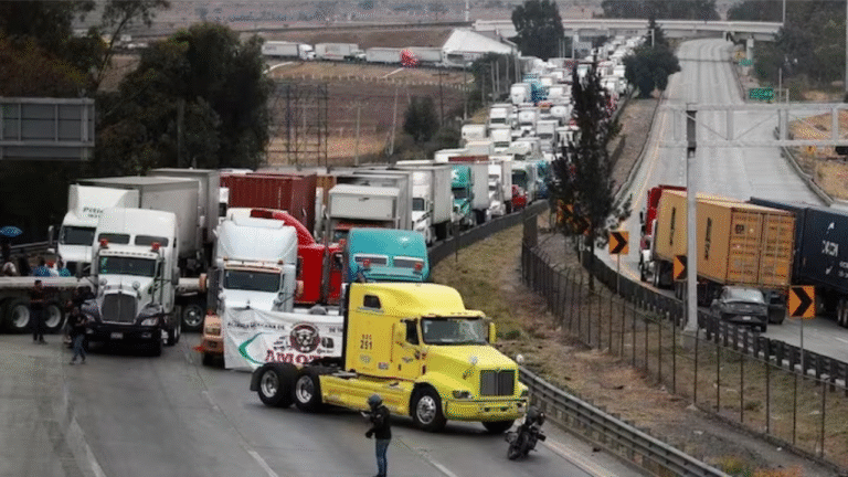 New Zealand Revokes 459 Truckers' Licences