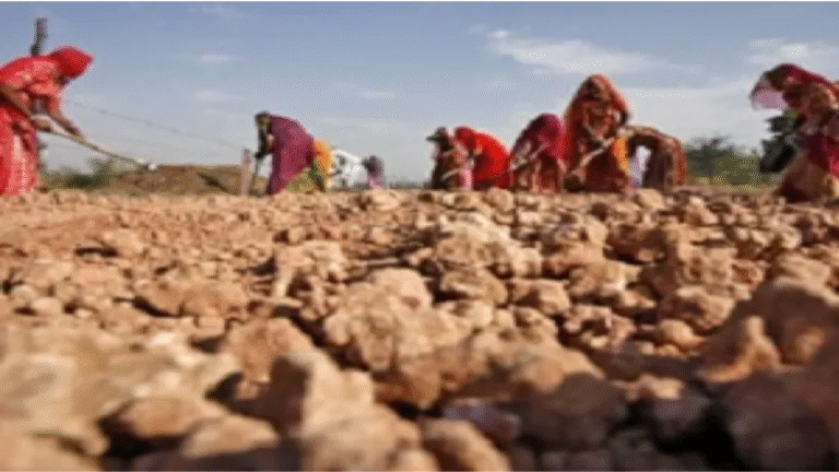 President Murmu Approves VB-G RAM G Act: MGNREGA Replaced by New 125-Day Guarantee