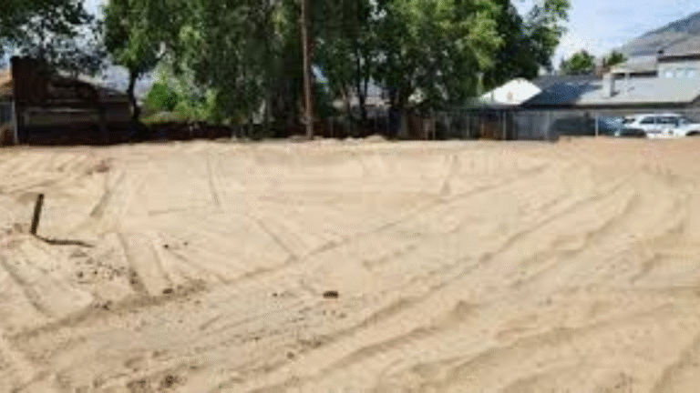 The "Archaeological Trap": Why Two Skulls in B.C. Are a Warning to Landowners