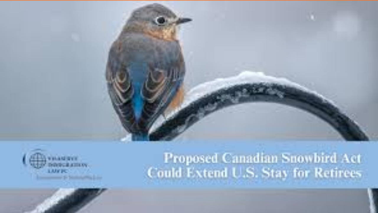 The Great Migration Melt: Why Canadian Snowbirds are Flying North