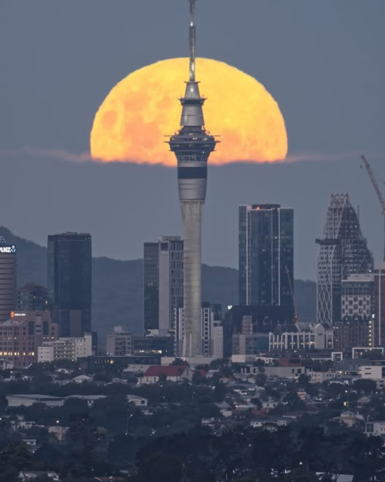 My first moonrise shot from 2026.