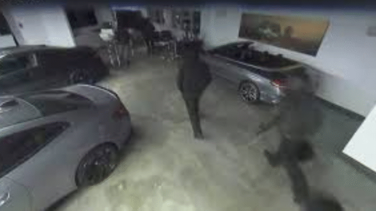 Massive Luxury Auto Heist: Eight Vehicles Stolen from Oakville Dealership