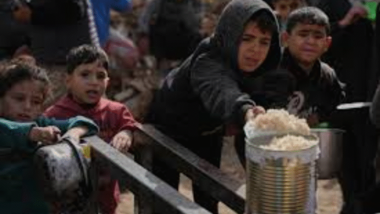 Search for Hostage Remains in Shuja’iyya