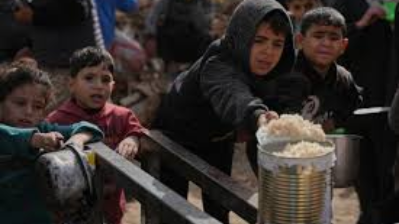 Search for Hostage Remains in Shuja’iyya