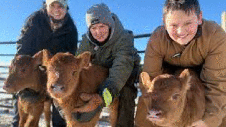 Lightning Strikes Twice: Alberta Ranch Welcomes Second Set of Triplets in Two Years