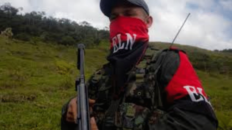 Power Vacuum at the Border: The Impact of U.S. Action on Guerrilla Groups