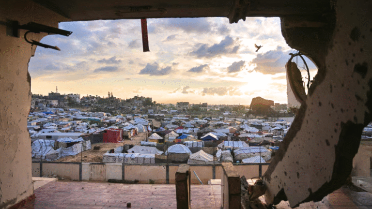 Trump to Launch "Board of Peace" and Gaza Marshall Plan Next Week