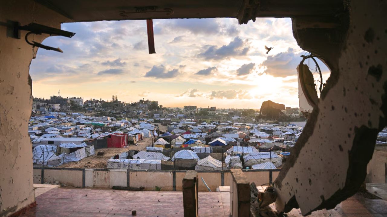 Trump to Launch "Board of Peace" and Gaza Marshall Plan Next Week