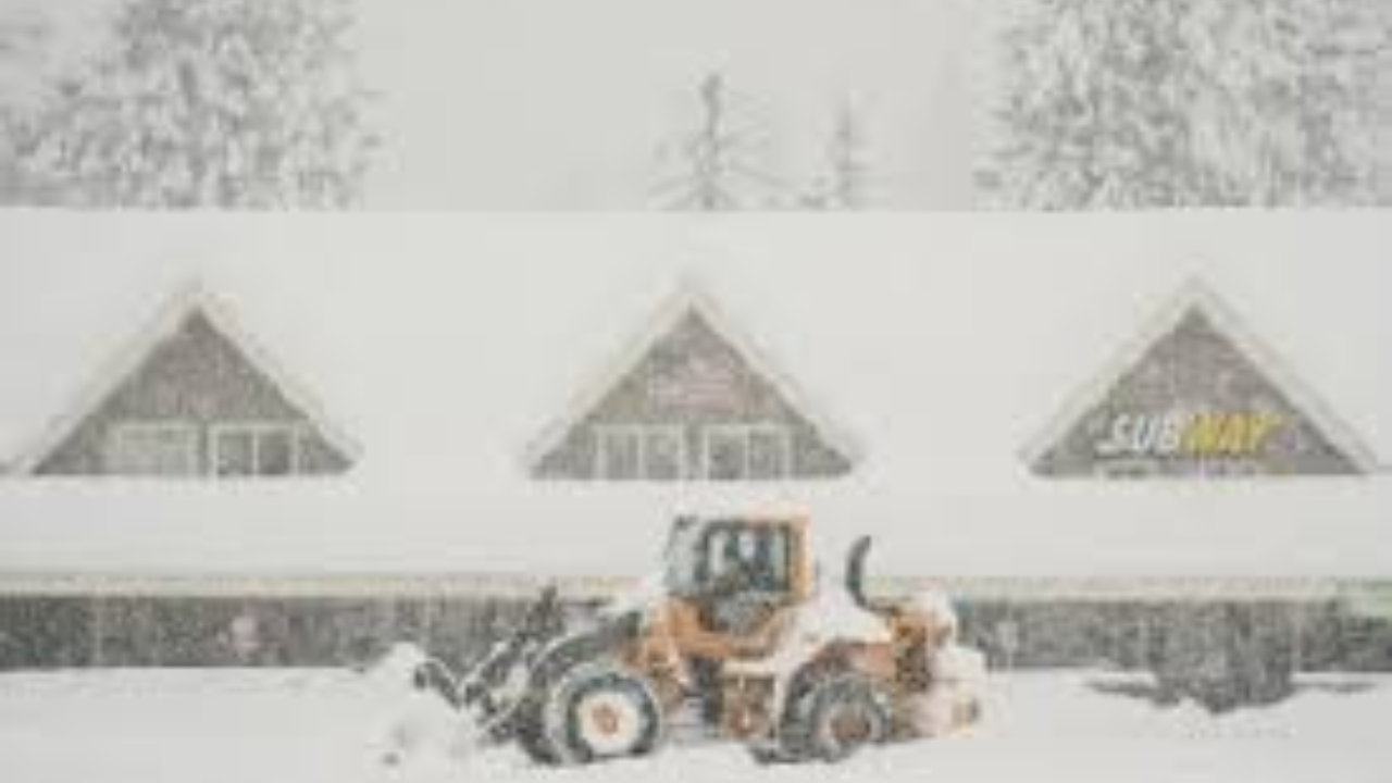 California Avalanche: Recovery Hopes Rise as Sierra Storms Break