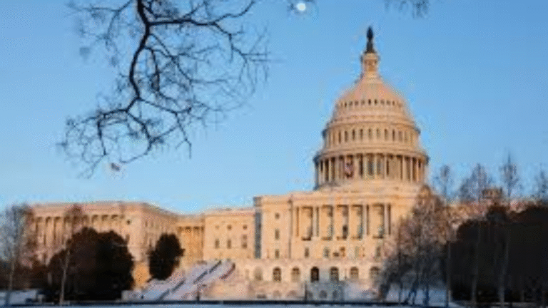 Menefee Secures Texas 18th; GOP House Majority Shrinks