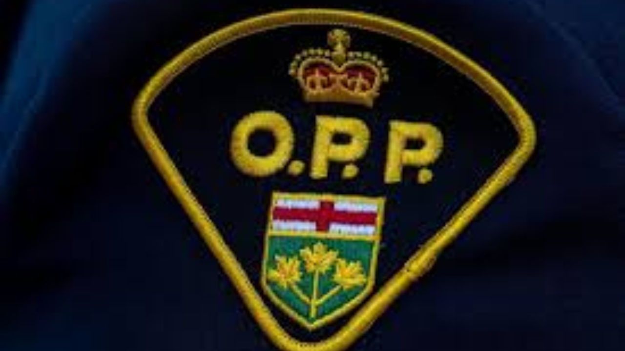 Hit-and-Run Investigation: Delivery Driver Airlifted Near Blue Mountains