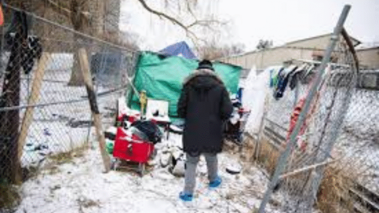 The Great Un-Neglected Pastime: Why Ontarians Are Back on the Grid