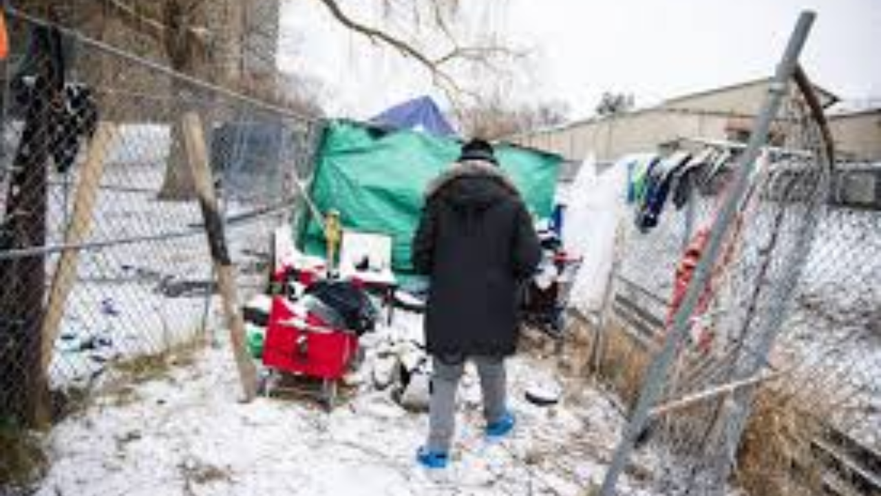 The Great Un-Neglected Pastime: Why Ontarians Are Back on the Grid