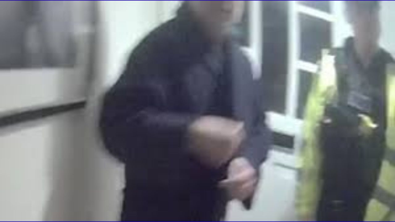 The Case of Damian Homer: Summary and Footage Details