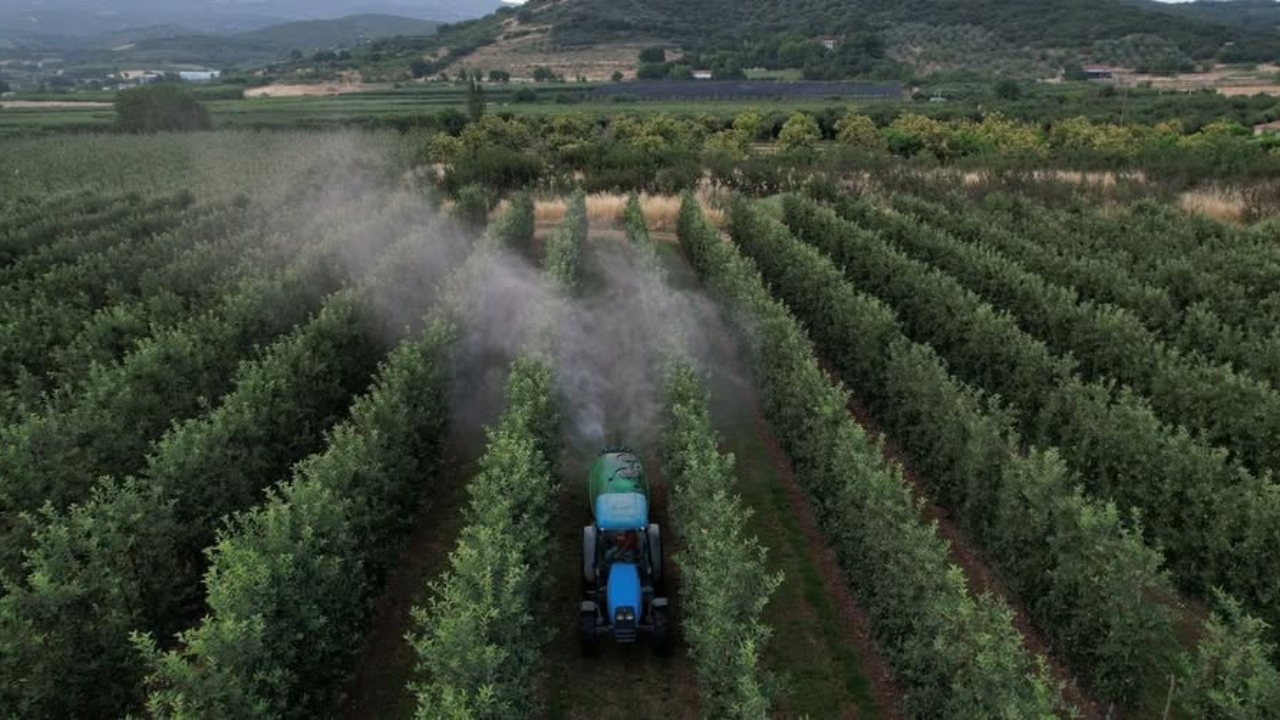 The Clean-By-Design Manifesto: Purging Toxins from the Global Plate