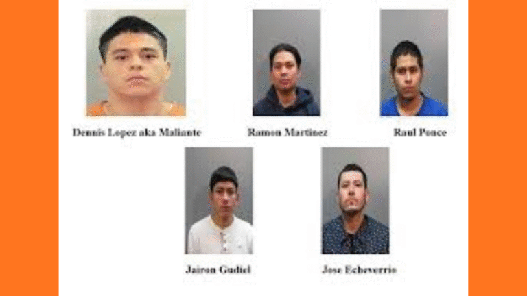 Florida Cracks Down: Five More Arrested in $1.7M State Fraud Scheme