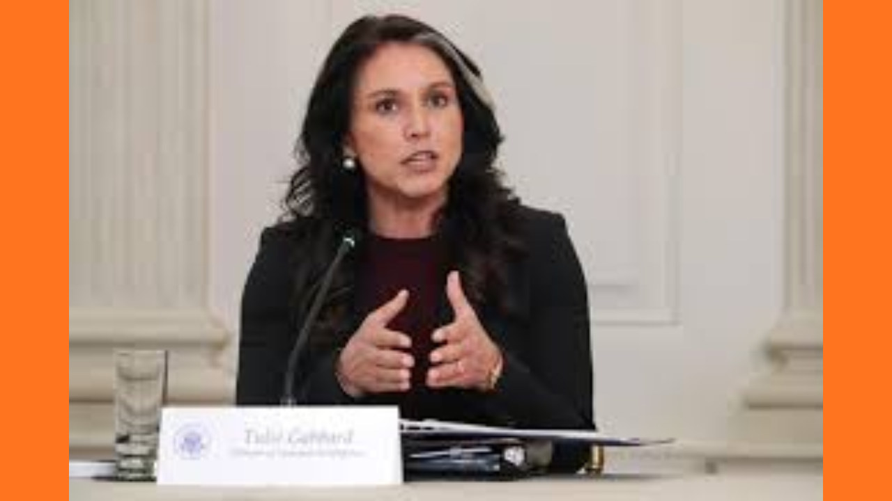Tulsi Gabbard Slams Sen. Mark Warner, "Propaganda Media" Over Whistleblower Delay