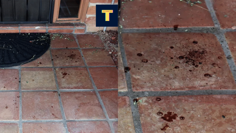 INVESTIGATION UPDATE: Three Detained in Nancy Guthrie Disappearance