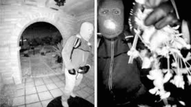 Investigation Escalates: Search for Nancy Guthrie Intensifies in Tucson