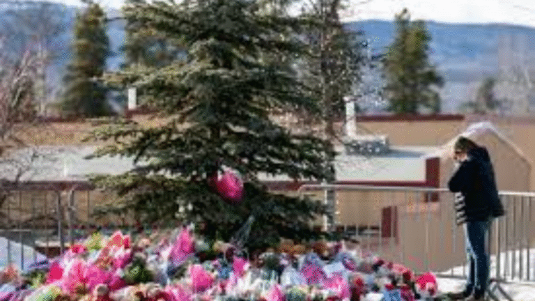 B.C. Government Slams OpenAI Over Silence Following Mass Shooting