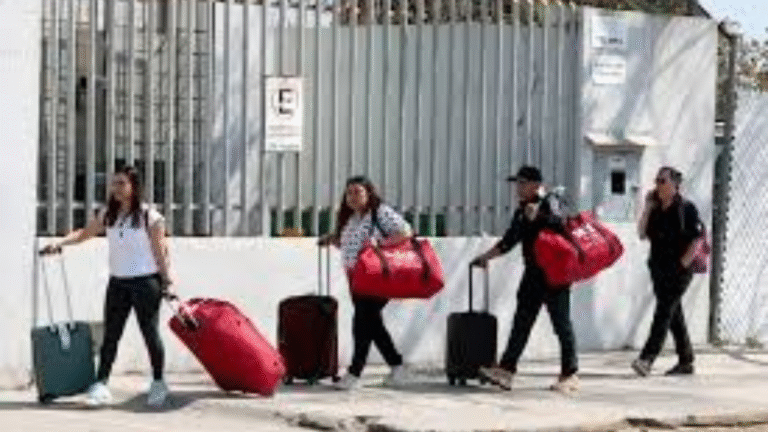 The "Stranded in Mexico" Survival Protocol