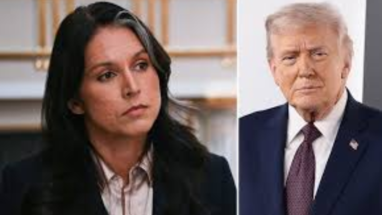 DNI Gabbard Denies "Burying" Whistleblower Complaint