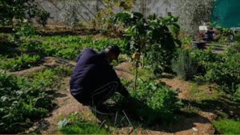 The Economic Suffocation of the West Bank