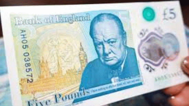 Churchill’s Granddaughter Backs Move to Swap "Winnie" for Wildlife