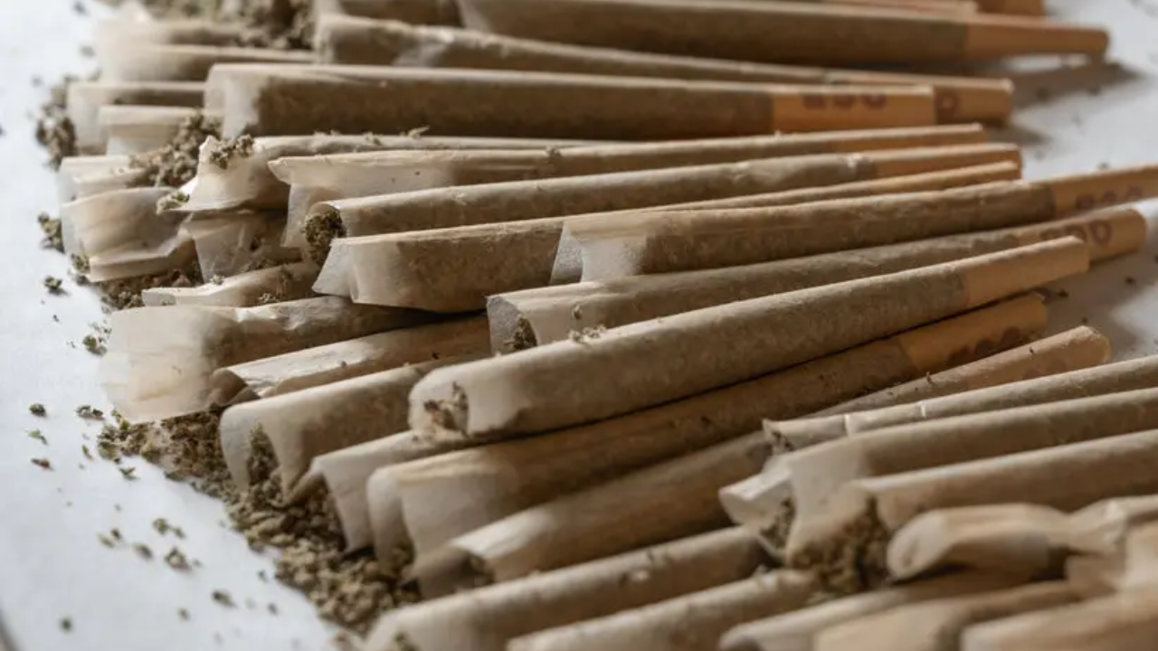 Trump Administration Reclassifies Medical Marijuana to Schedule III