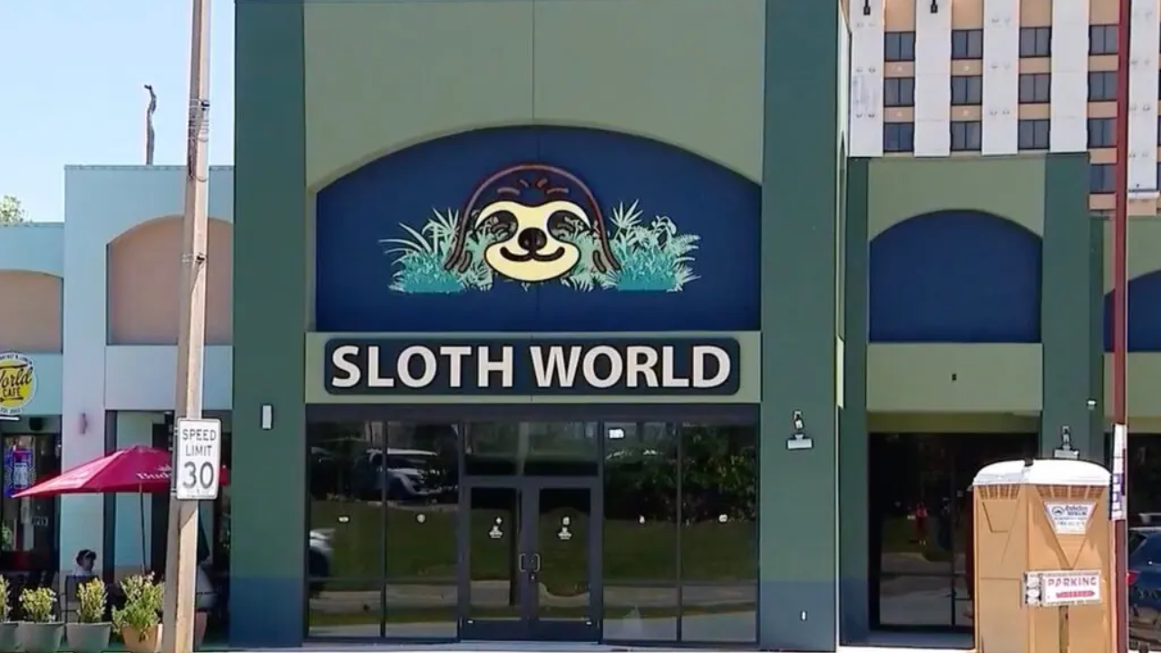 Tragedy at Sloth World: 31 Animals Dead Before Orlando Opening