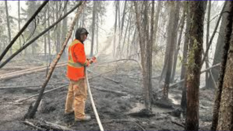 The Wadin Bay Compensation Battle: A $39,000 Standstill