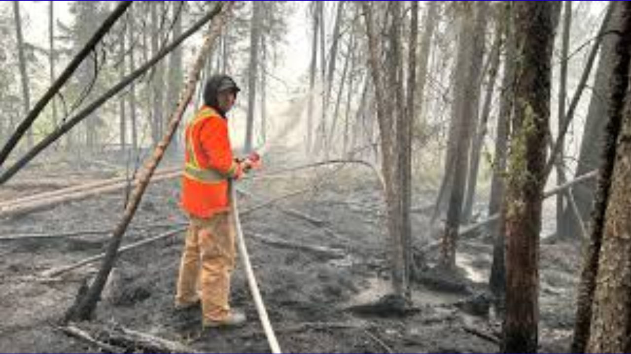 The Wadin Bay Compensation Battle: A $39,000 Standstill