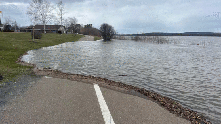 Flood Watch: Saint John River (Fredericton & Gagetown)